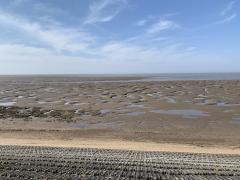 South of Snettisham, the beach becomes mud - Peter Black Sand